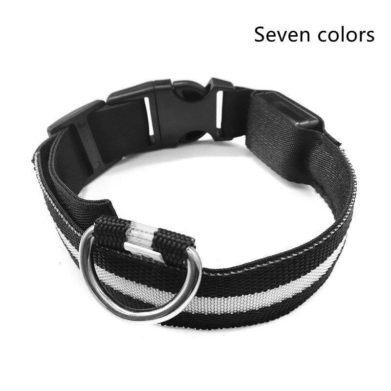Collar ultra luminoso de nylon para perros y gatos (Pilas o Recargable)