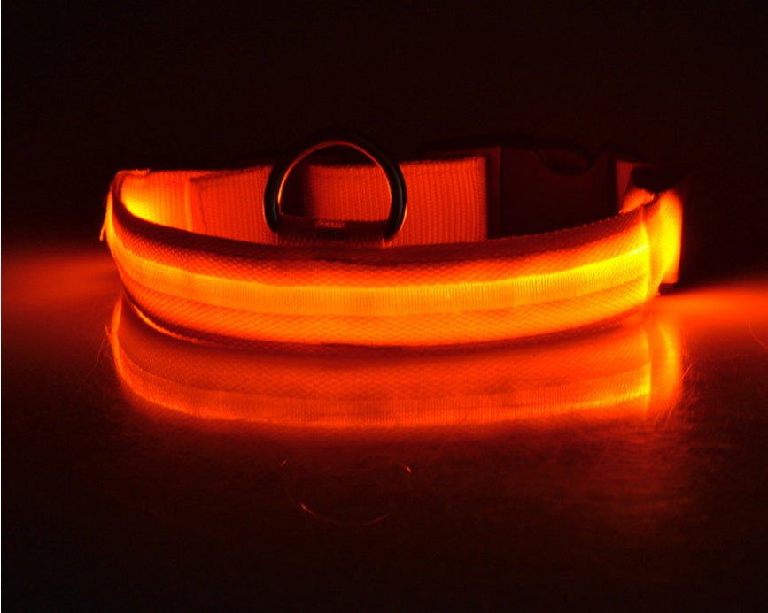 Collar ultra luminoso de nylon para perros y gatos (Pilas o Recargable)