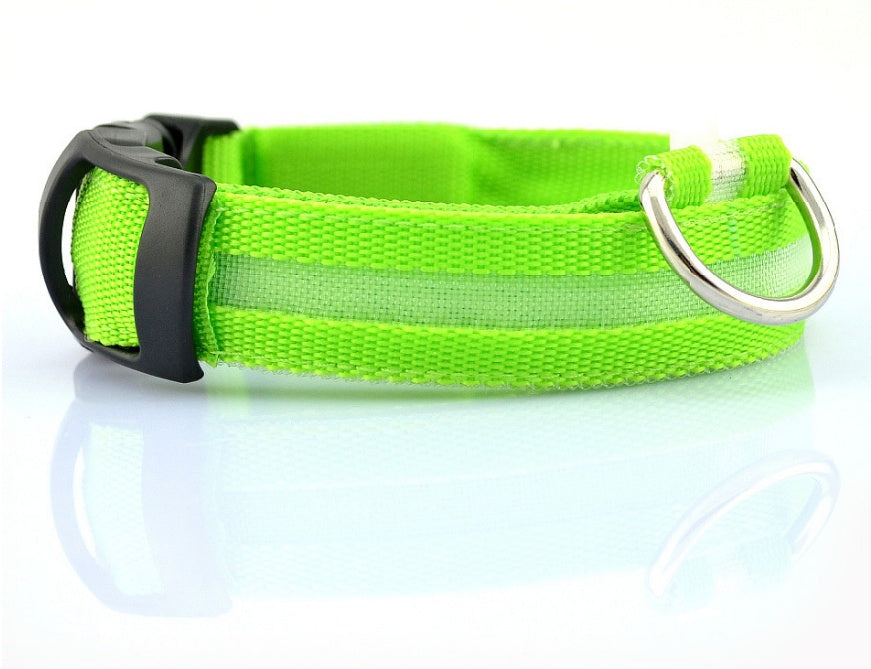 Collar ultra luminoso de nylon para perros y gatos (Pilas o Recargable)