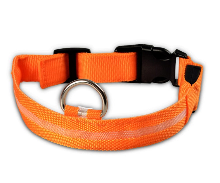 Collar ultra luminoso de nylon para perros y gatos (Pilas o Recargable)