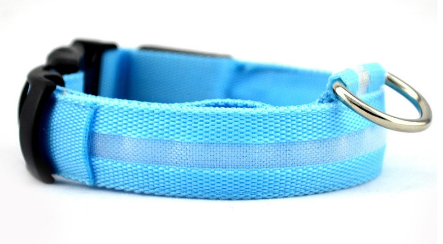 Collar ultra luminoso de nylon para perros y gatos (Pilas o Recargable)