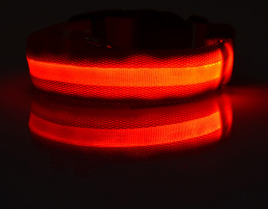 Collar ultra luminoso de nylon para perros y gatos (Pilas o Recargable)