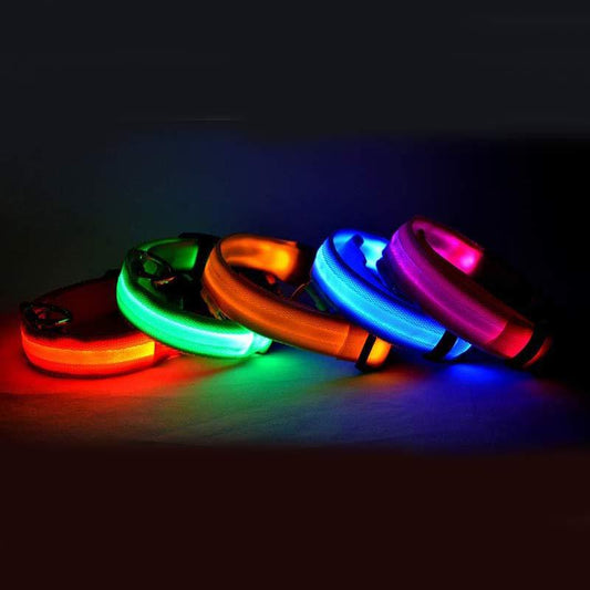 Collar ultra luminoso de nylon para perros y gatos (Pilas o Recargable)