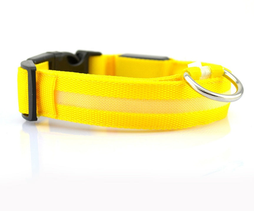 Collar ultra luminoso de nylon para perros y gatos (Pilas o Recargable)