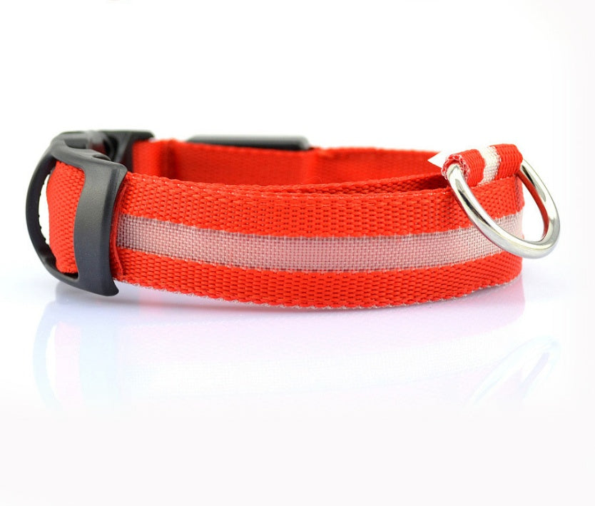 Collar ultra luminoso de nylon para perros y gatos (Pilas o Recargable)