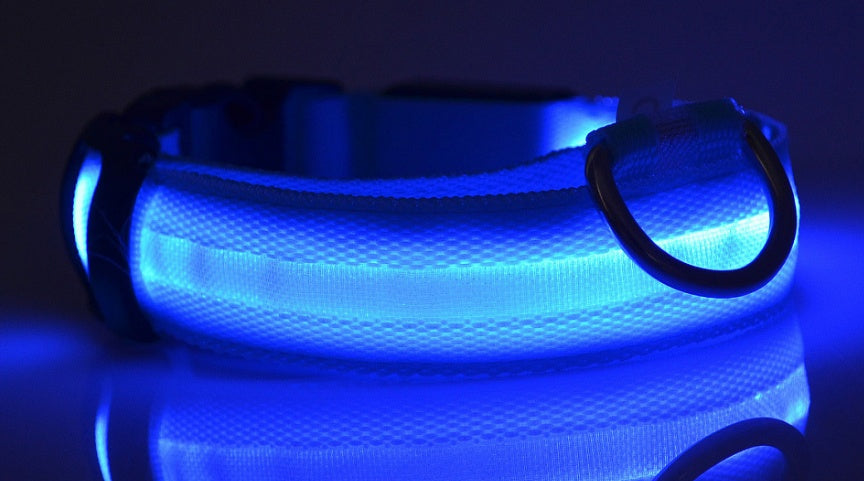 Collar ultra luminoso de nylon para perros y gatos (Pilas o Recargable)