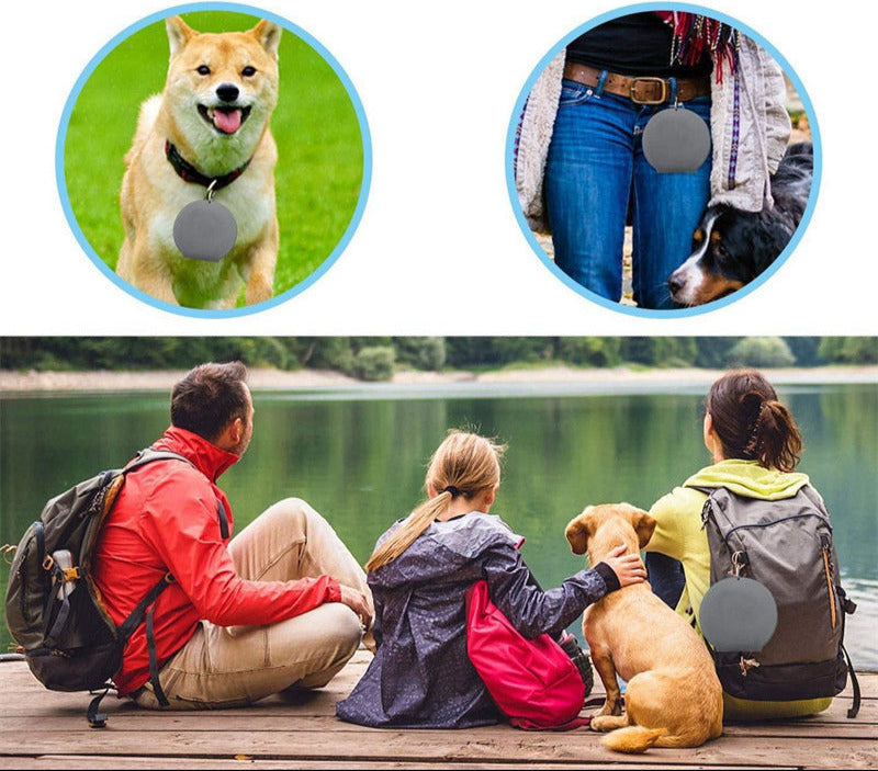 Tazón portátil doble plegable de goma para mascotas